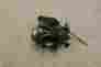 0470-458 12051 Arctic Cat 500 Fis 03 Carburetor Carb