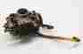1253493 Polaris Carburetor Carb