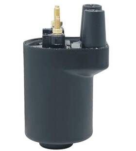 Bmp 207384431338 Ignition Coil Module For Miller Bobcat 225g Plus Welder Onan Performer 16