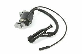 Bm80525vnm Bmp 341992314806 Ignition Coil Module For Blackmax Pressure Washer Bm80525vnm Bmp 341992314806 Ignition Coil Module For Blackmax Pressure Washer