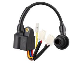 Sua2000id Bmp 891613412508 Ignition Coil Module For A Ipower Dual Fuel Inverter Generator