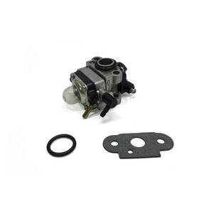 696949 Briggs & Stratton And Oem Carburetor