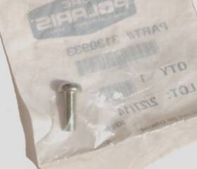 3130933 Polaris Oem Packaged Screw