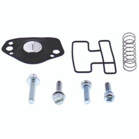 Quadboss 420592 Air Cut-off Valve Kit