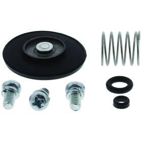 Ft06-14 Quadboss 420595 Accelerator Pump Kit For Honda Trx450er