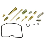 2003-2007 Suzuki LTF500F Atv Shindy Carburetor Repair Kit. Fixed Price $38.06.