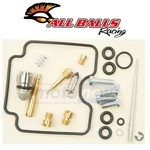 Balls 26-1365 Rebuild Kit For Fuel & Air Carburetors Sr. Fixed Price $52.09.