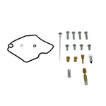 Carburetor Repair Kit For Arctic Cat 400 Trv 4X4 2006 -2014 Race-driven. Fixed Price $29.95.