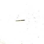 2002 Polaris Scrambler Oem Carburetor Needle 0450090 AP199. Fixed Price $19.99.