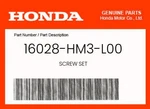 Honda Genuine Screw Set 16028-HM3-L00. Fixed Price $16.11.