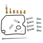 Kit Fits Arctic Cat 500 4X4 2000 -2002 Carburetor Repair By Race-driven. Fixed Price $29.95.