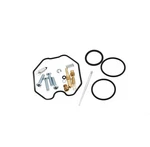 Kit For Polaris Sawtooth 2006 2007 Carburetor Repair By Race-driven. Fixed Price $25.75.