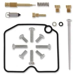 Balls Carburetor Rebuild Kit For 2005-2007 Arctic Cat 500 4X4 Auto Atv. Fixed Price $64.63.