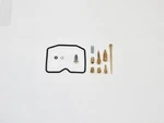 Arctic Cat 250 4X4 2002-2005 Shindy Carburetor Rebuild Kit Repair. Fixed Price $32.89.