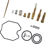Carburetor Repair Kit Replacement For Recon TRX250 1997-2005. Fixed Price $15.74.