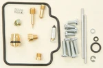 Balls Carburetor Repair Kit 26-1420. Fixed Price $56.24.