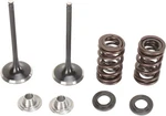 Moose Stainless Steel Valve Spring Exhaust Kit Seals Kawasaki KFX450R 08-14. Fixed Price $196.95.