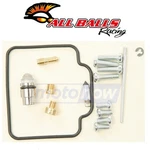 Balls Carburetor Rebuild Kit For 2003 Polaris Magnum 330 2X4 - Fuel & Dc. Fixed Price $43.58.