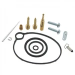 Carburetor Repair Kit For Arctic Cat 90 Dvx / Utility 2006 2018 By Race-driven. Fixed Price $42.85.