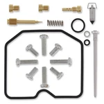 Balls Carburetor Rebuild Kit For 2008-2009 Arctic Cat 250 2X4 Atv. Fixed Price $84.91.