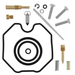 Quadboss 418028 06-07 Arctic Cat 250 2X4 (02) Carburetor Kit. Fixed Price $106.49.