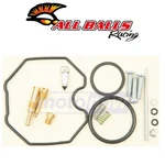 Balls Carburetor Rebuild Kit For 2006-2007 Arctic Cat Dvx 250 Fuel & Hm. Fixed Price $85.10.