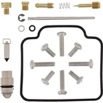 Balls 26-1342 Carburetor Rebuild Kit. Fixed Price $58.06.
