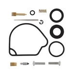 Balls Carburetor Repair Kits 226-1191 133792 ABR26-1191. Fixed Price $41.01.