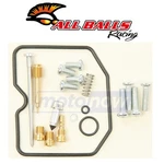 Balls Carburetor Rebuild Kit For 2009-2012 Arctic Cat Dvx 300 Fuel & Tp. Fixed Price $58.75.