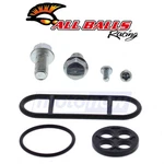 Balls Fuel Petcock Repair Kit For 1993-1999 Kawasaki KLF400 Bayou 4X4. Fixed Price $34.48.