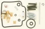Balls 26-1389 Carburetor Repair Kits. Fixed Price $56.24.