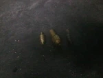 99-07 Polaris Choke Pieces # 3131086 & 3130829 3131100 Iqr 440 Racer Pro X. Fixed Price $25.95.