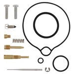 Balls Carburetor Rebuild Kit For 2007-2009 Kawasaki KFX50 Atv. Fixed Price $45.19.