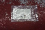 New Polaris Oem Needle Valve Kit 0450115. Fixed Price $39.99.