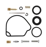 Balls A-arm Bearing Kit 226-1091 126-8091 134208 ABR26-1091. Fixed Price $48.74.