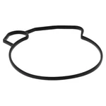 Balls Float Bowl Gasket For 2003 Polaris Predator 90 Atv. Fixed Price $17.20.