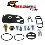 Balls Fuel Petcock Repair Kit For 2001-2002 Suzuki LT-F250F Quadrunner Jc. Fixed Price $40.74.