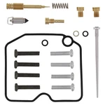 Balls Carburetor Rebuild Kit For 2005-2006 Arctic Cat 650 H1 4X4 Auto Atv. Fixed Price $67.10.