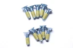 Oem Polaris 3087932 Counter Sunk Screw Qty 10 Nos. Fixed Price $21.24.
