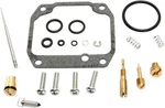 Balls Carburetor Rebuild Kit For 1989-1990 Suzuki Quadsport Lt 250S. Fixed Price $50.95.