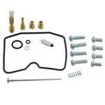 Kit For Arctic Cat 300 Drv 2009 2015 Carburetor Repair By Race-driven. Fixed Price $39.55.
