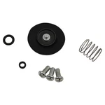 Balls Accelerator Pump Rebuild Kit For 2007-2008 Yamaha YFZ450 Se Atv. Fixed Price $38.32.