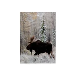 3D Rose Shiras Bull Moose Autumn Snow Hand Towel 15X22 Wildlife Bathroom Decor. Fixed Price $16.20.