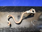 1987-1998 Yamaha Kodiak Big Bear MOTO-4 Cable Guide Oem 3HN-2631F-00-00. Fixed Price $12.95.