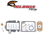 Balls 26-1519 Rebuild Kit For Fuel & Air Carburetors Oq. Fixed Price $41.61.