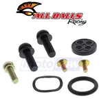 Balls Fuel Petcock Repair Kit For 2009-2015 Arctic Cat Dvx 300 Body. Fixed Price $21.71.