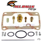 Balls 26-1991 Rebuild Kit For Fuel & Air Carburetors Cx. Fixed Price $54.18.