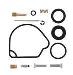 Balls 26-1254 Carburetor Rebuild Kit. Fixed Price $59.11.